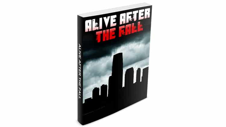 Alive After The Fall 3 Book